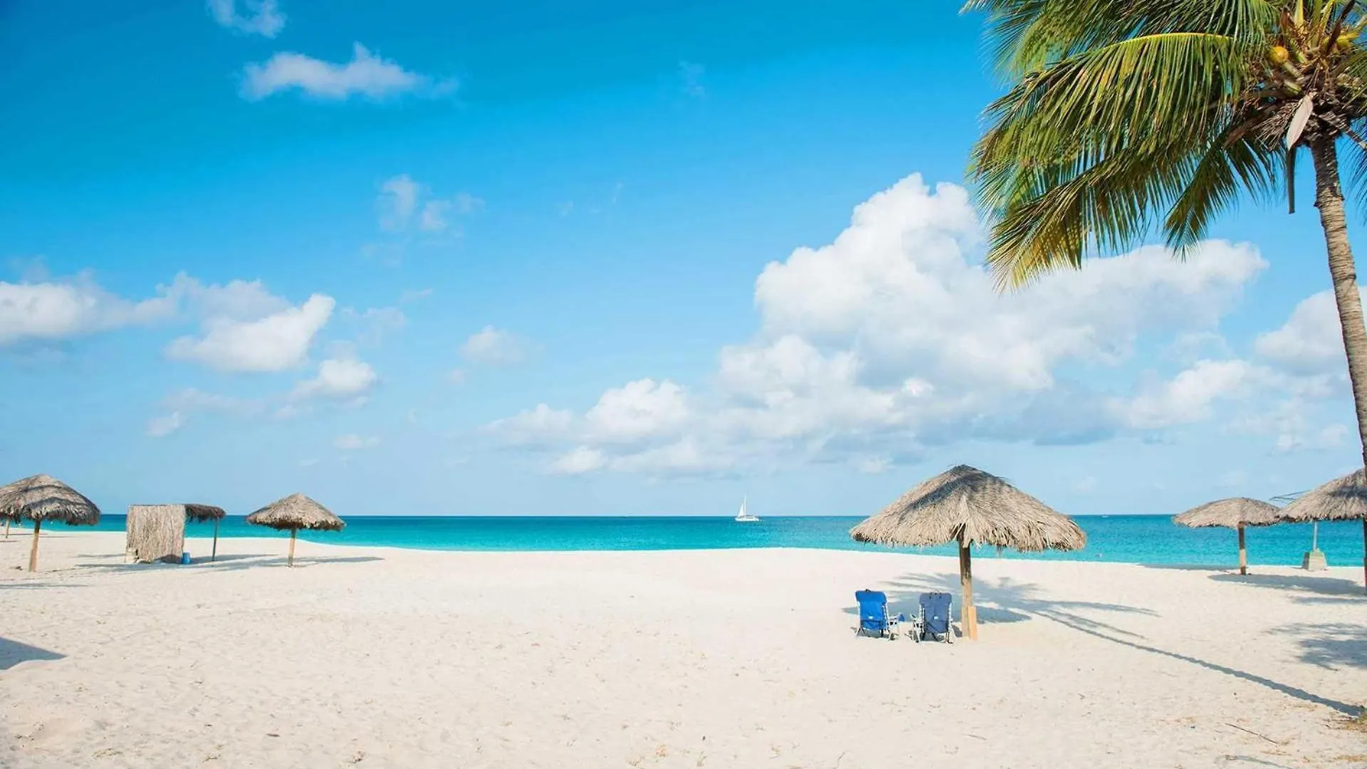 Beachfront - Divine Leisure 2Br Condo - Bc255 Palm Beach Aruba