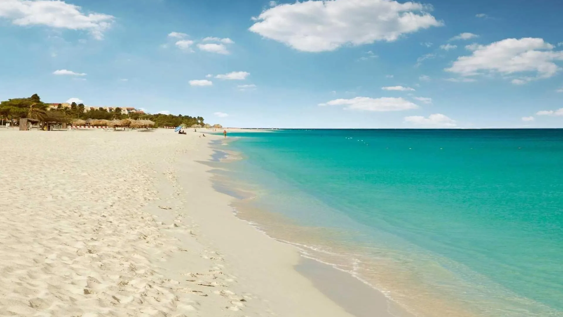 Beachfront - Divine Leisure 2Br Condo - Bc255 Palm Beach Aruba