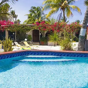 Beach House Aruba Apartments Palm Beach